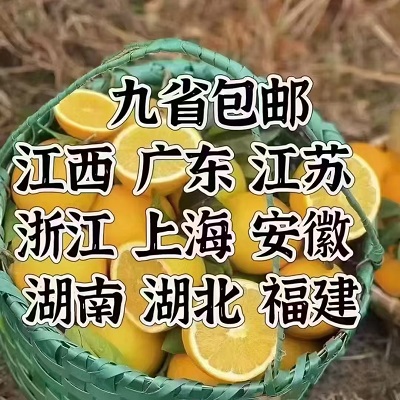 赣南血橙