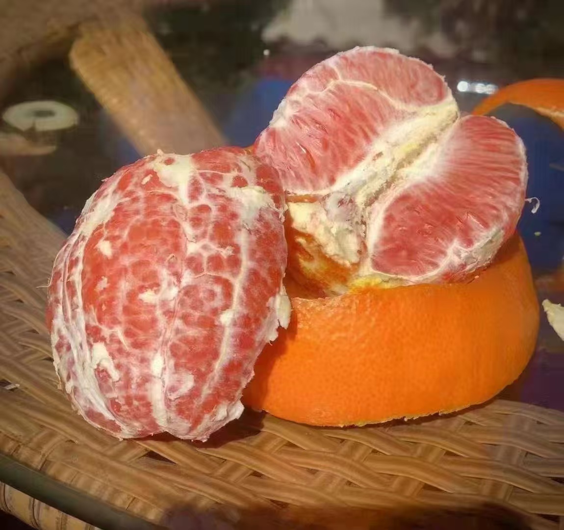 赣南血橙