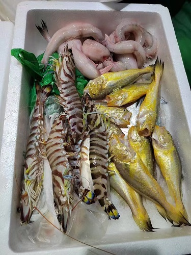锋阳海鲜   宁波咸祥