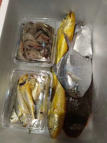 锋阳海鲜   宁波咸祥