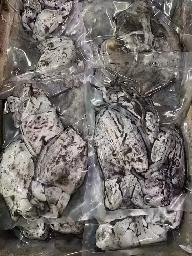 锋阳海鲜   宁波咸祥