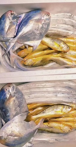 锋阳海鲜   宁波咸祥