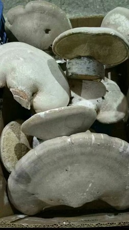 东北特产
