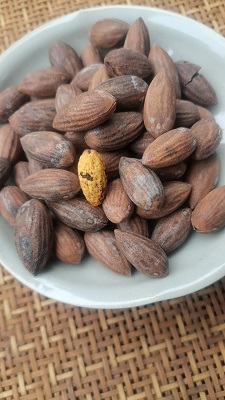 董香茂  手工炒货
