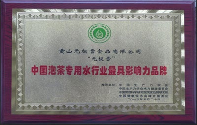 黄山无极雪  天然矿泉水