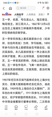 王震  （白龙山人）