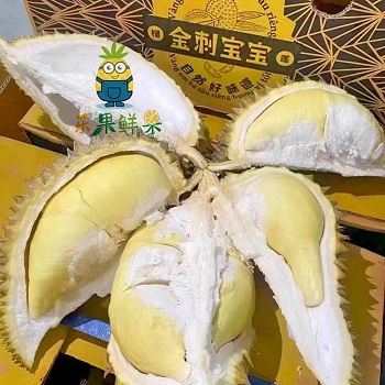 金刺宝宝榴莲