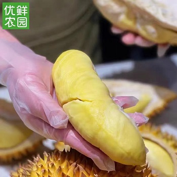 金刺宝宝榴莲
