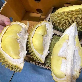 金刺宝宝榴莲