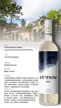 笨鸟酒业自营系列进口葡萄酒