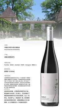 笨鸟酒业自营系列进口葡萄酒