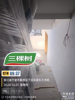 三棵树  高端涂料