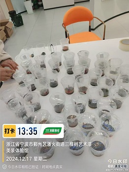 三棵树  高端涂料