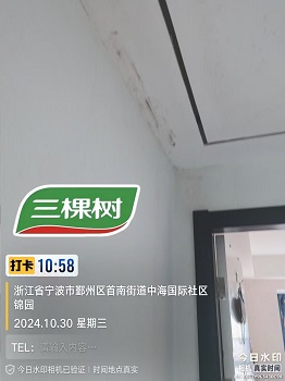 三棵树  高端涂料