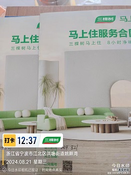 三棵树  高端涂料