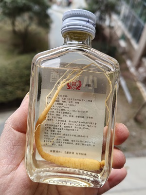 小参酒