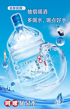 笨鸟帮帮网合伙人