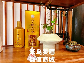 笨鸟帮帮网合伙人