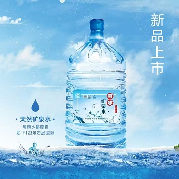 笨鸟帮帮网合伙人