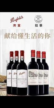 笨鸟帮帮网合伙人