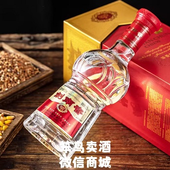 笨鸟帮帮网合伙人