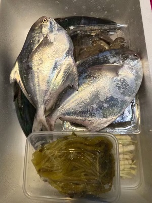 锋阳海鲜   宁波咸祥