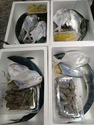 锋阳海鲜   宁波咸祥