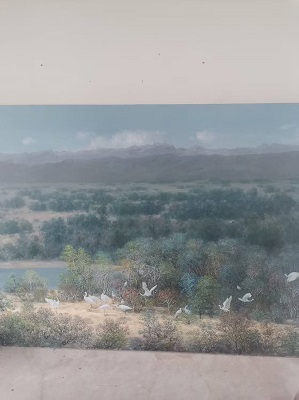 张顺川