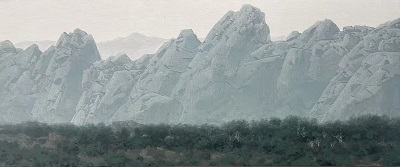 张顺川