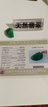  笨鸟画廊竞卖会   